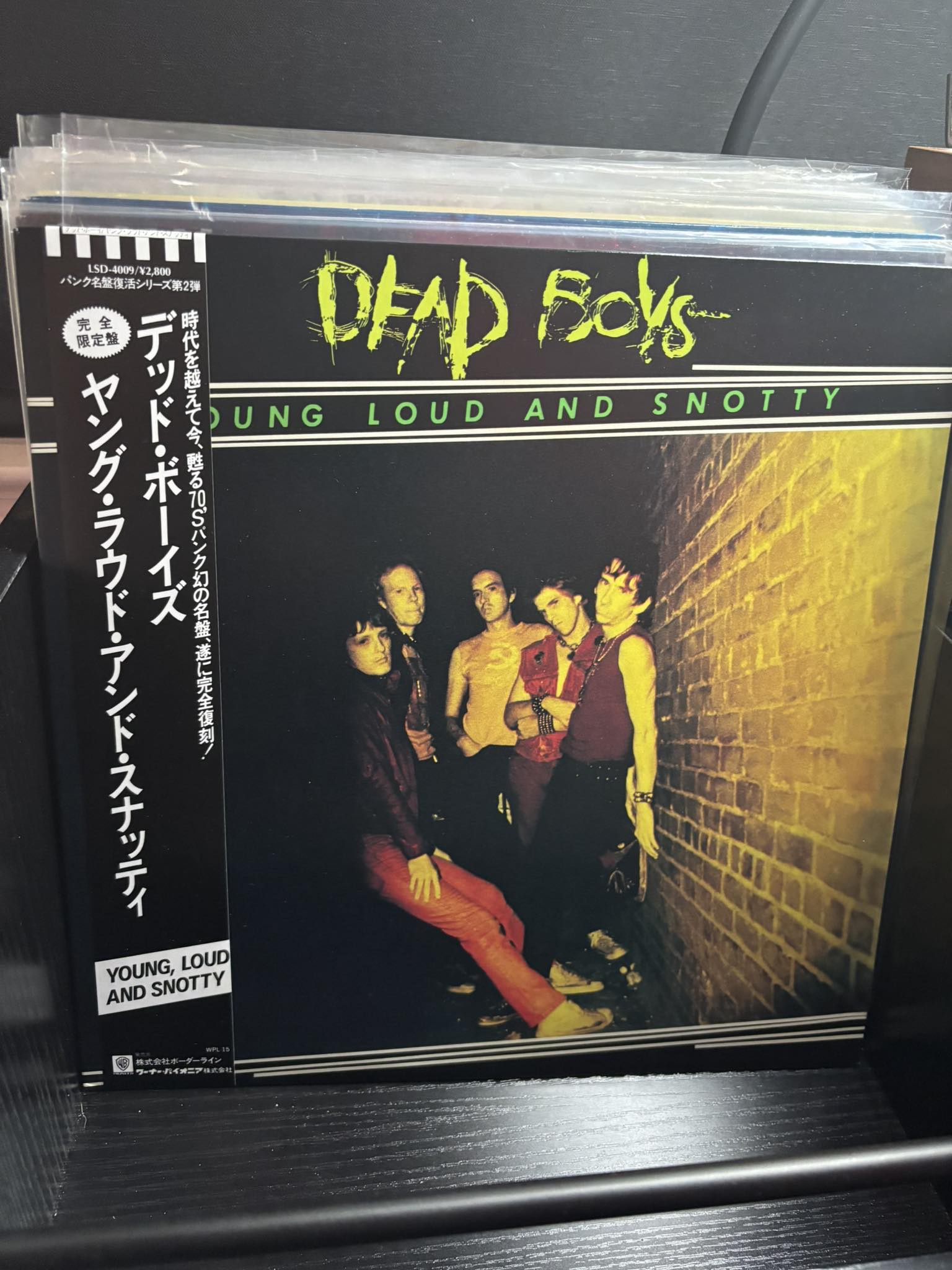 Dead Boys 1977 album Young Loud and Snotty for sale