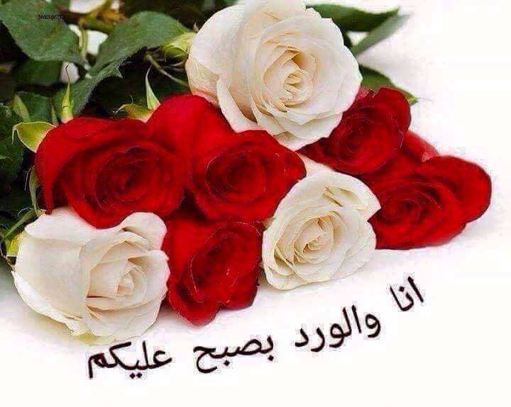 انين القلب صباح الخير ما اجمل صباحات الهدوء وما أروع فيسبوك