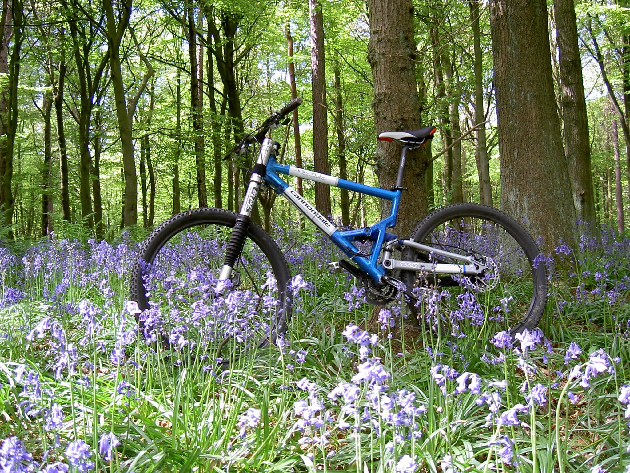 Remembering my old Cannondale Jekyll and Gemini bikes