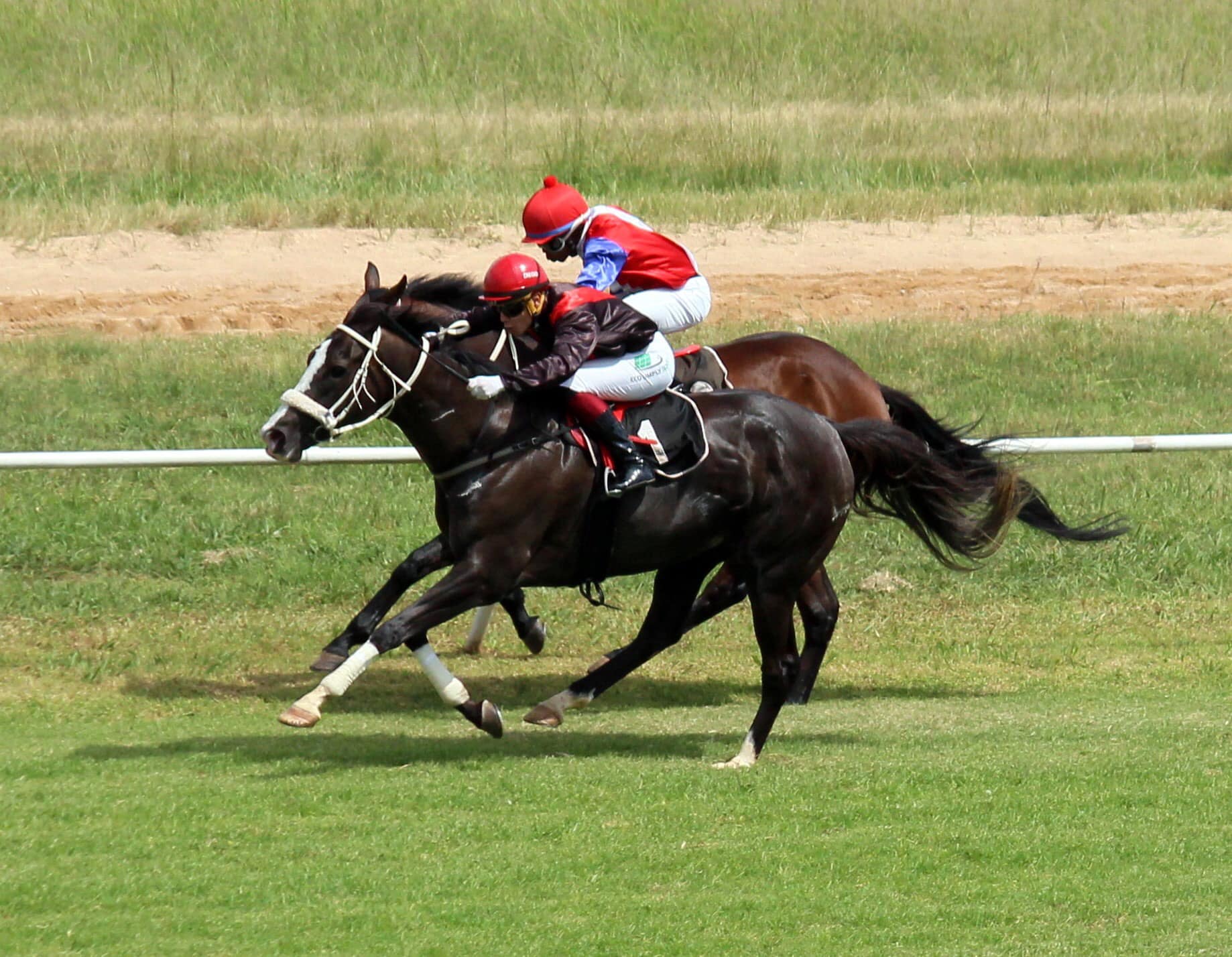 Swanson Racing | Harare