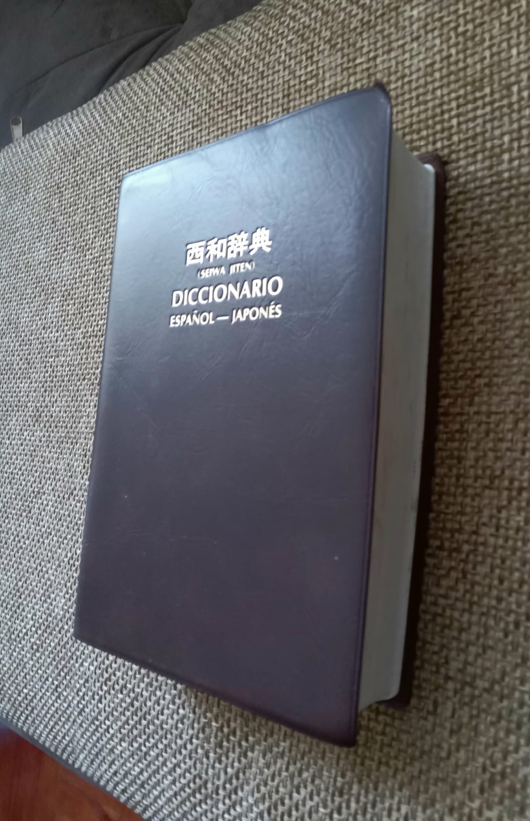 DICCIONARIO ESPAÑOL – JAPONÉS Remato diccionario Español – Japonés