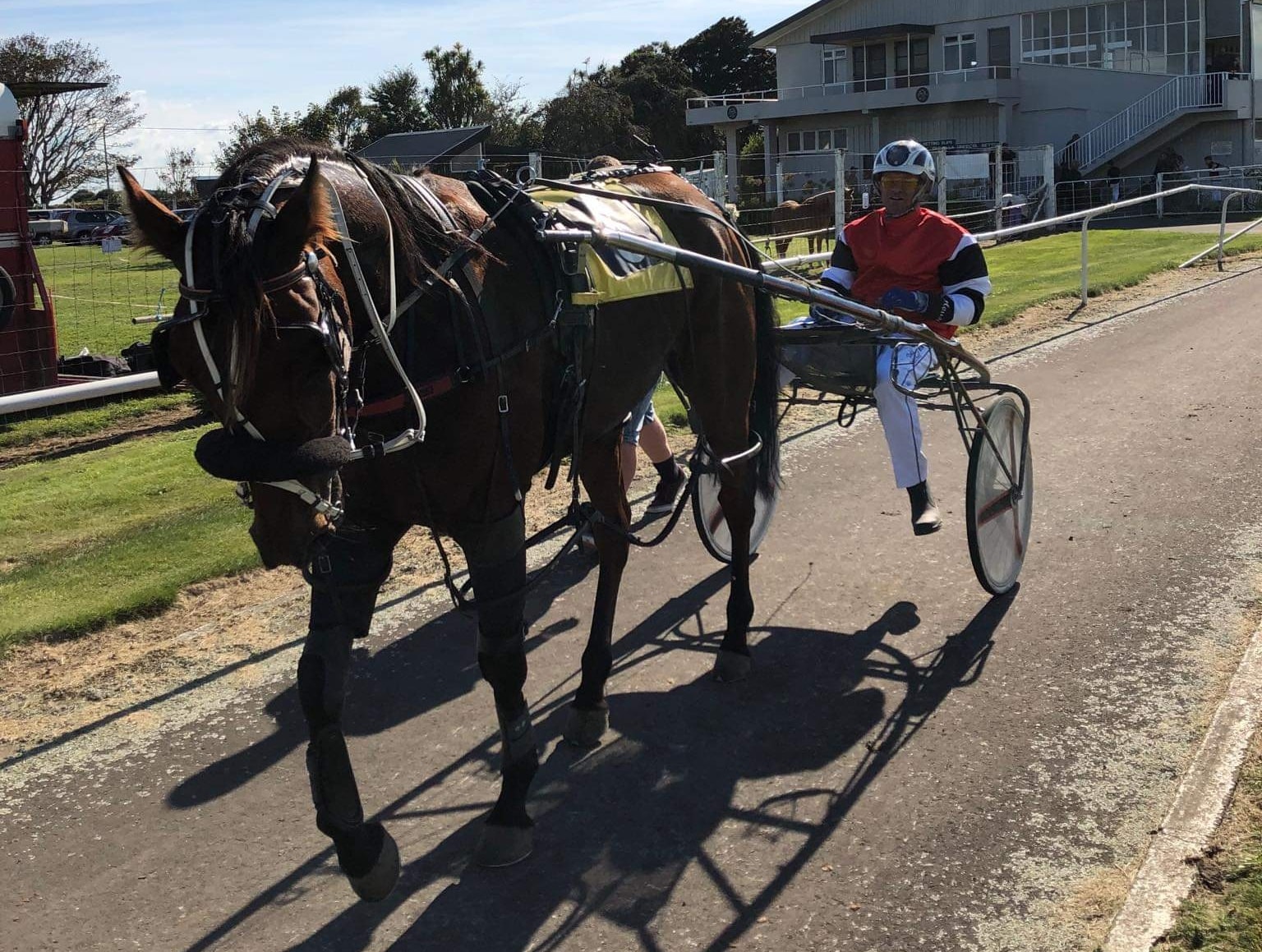 Congratulations to MICHAEL... - Harness Racing New Zealand | Facebook
