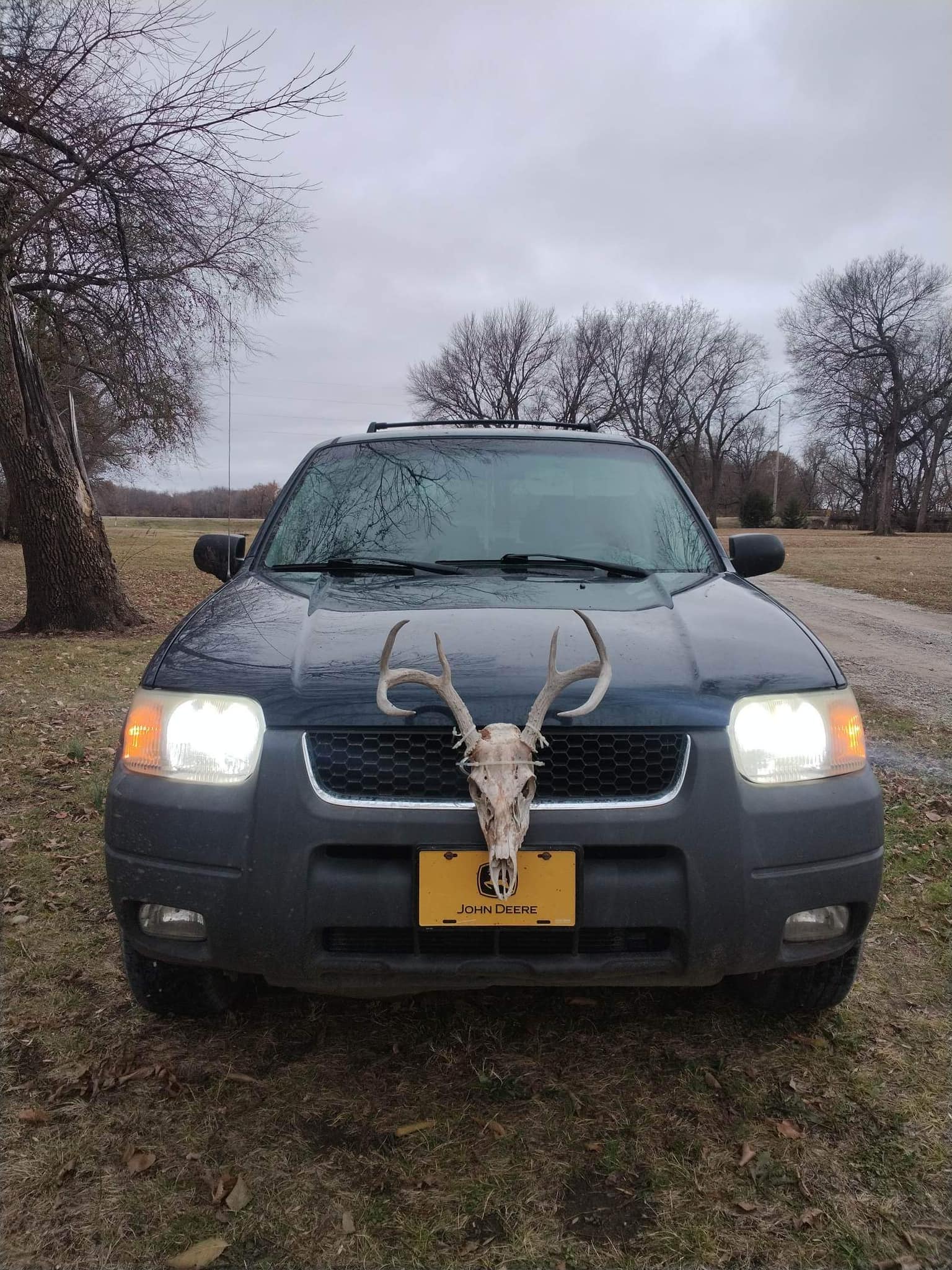 Can fog lights stay on with headlights