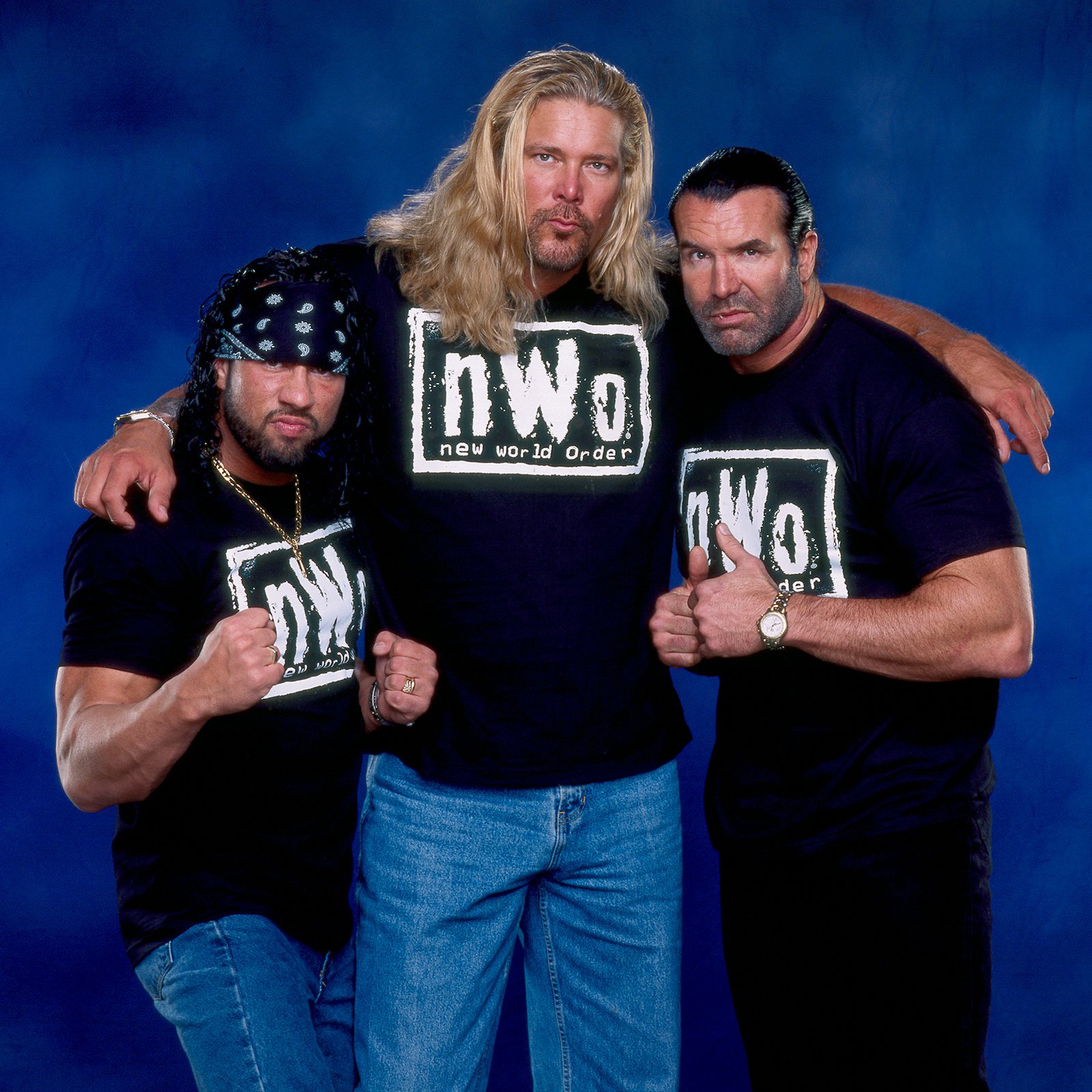 Did you enjoy the 2002 nWo storyline in the World Wrestling