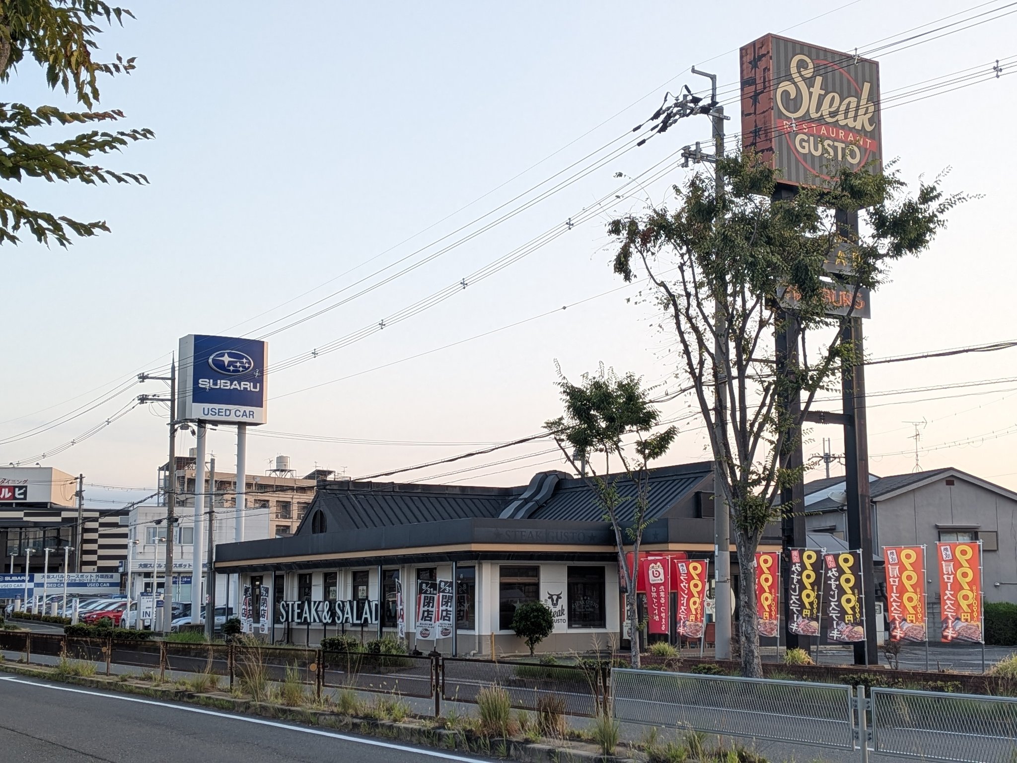 公の場での発言・インタビュー報道記録