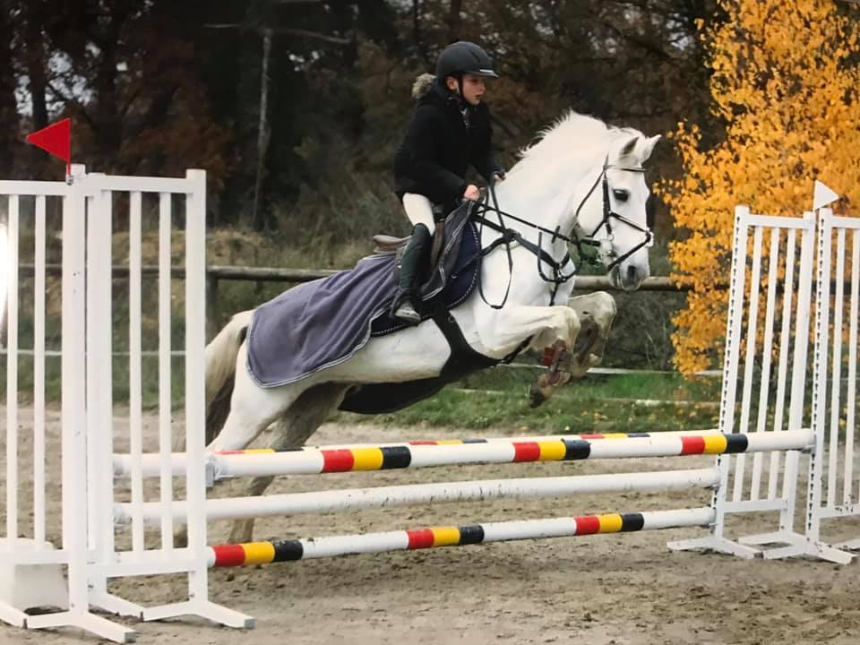 Ecurie Feinn - Itteville 91 - Très belle fin de journée avec une 5ème ...