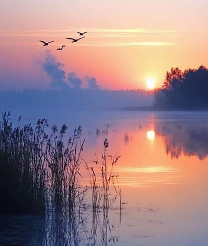 夕阳西下
