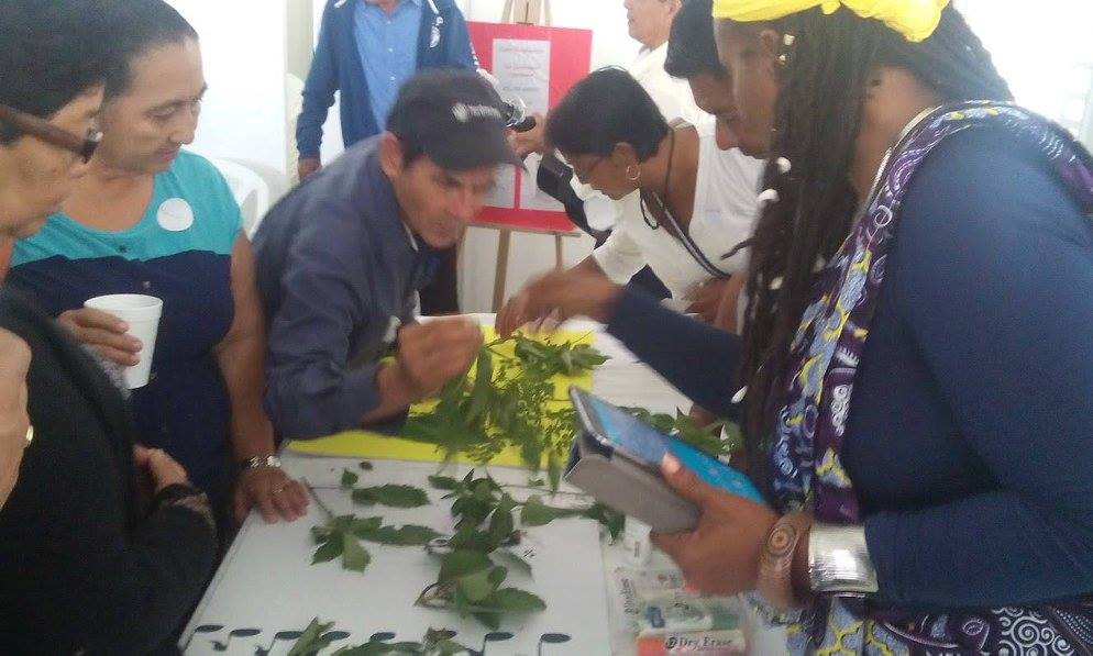 Numasa Wellness Resource Center | Belmopan