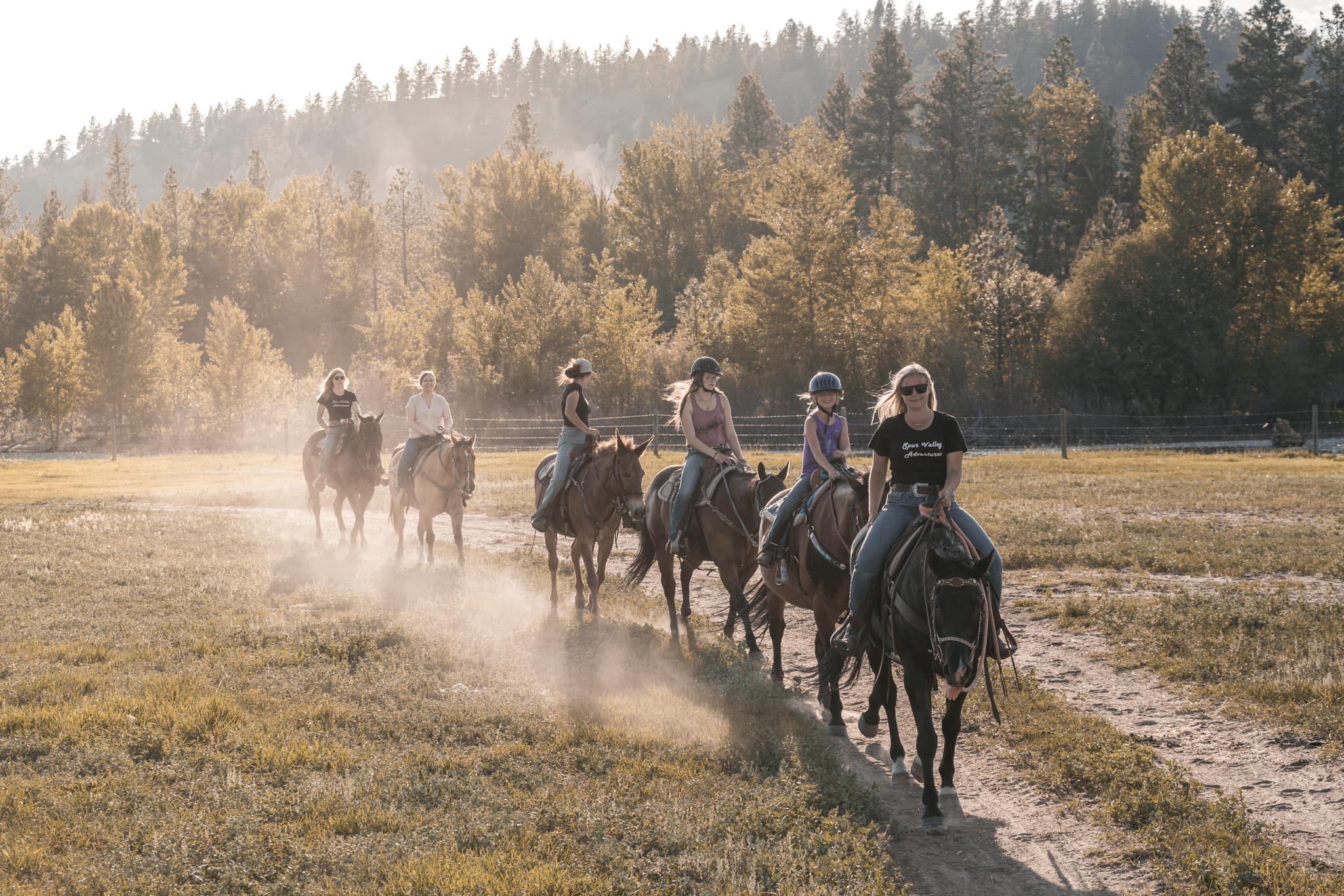 Spur Valley Horses | Cranbrook BC
