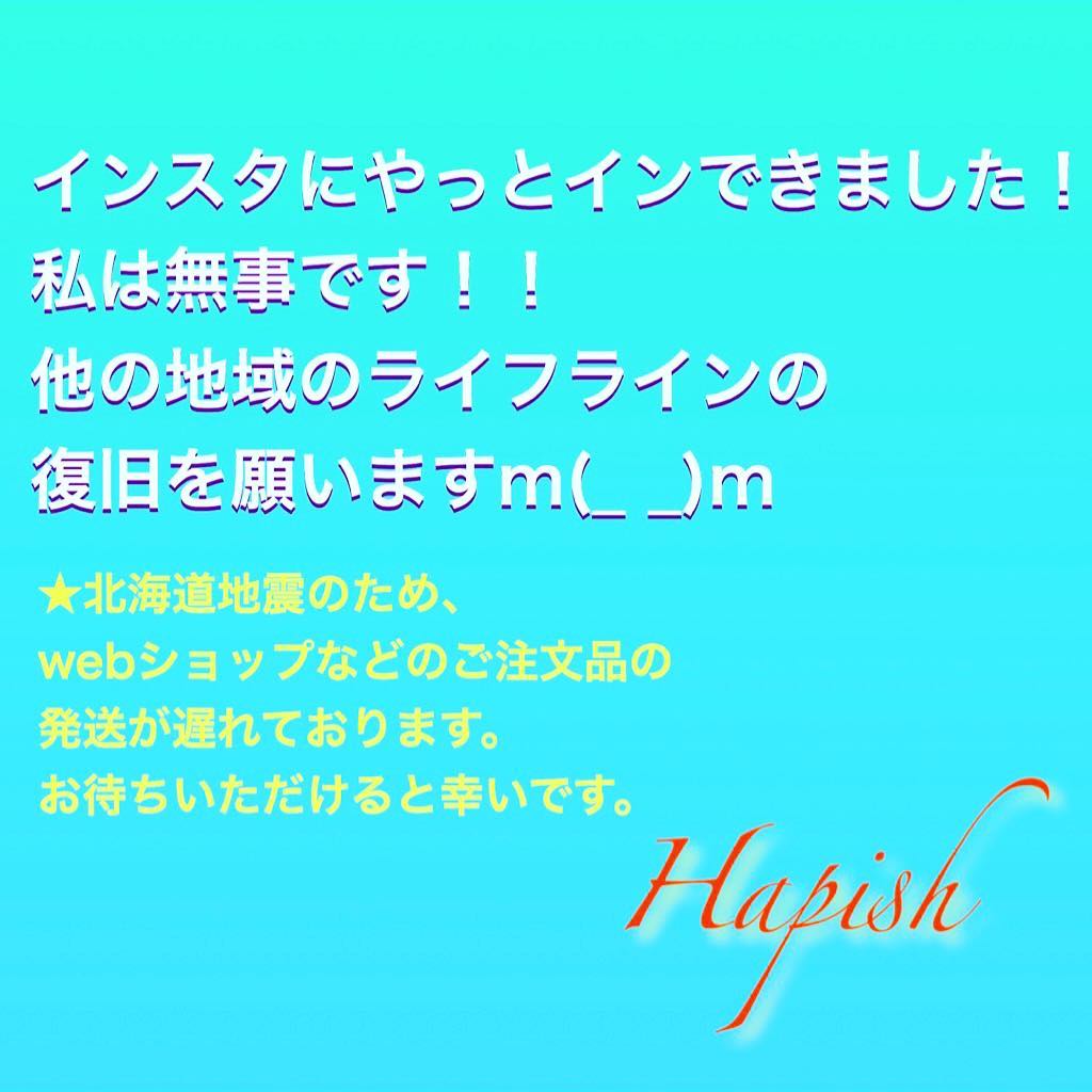 Hapish メモリーオイル インナーチャイルドメッセージオイル 昨日の地震から 私の住んでいるところは今日の朝方に電気が復旧しました ただ 未だに停電や信号が付いてないところ 近所のスーパーは営業していない 余震が続くとか これ以上 被害が広がらない