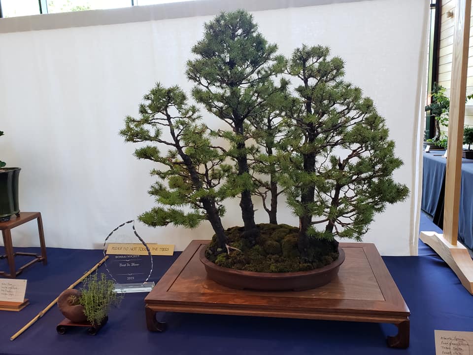 Congratulations to James... - Quattlebaum Bonsai Nursery