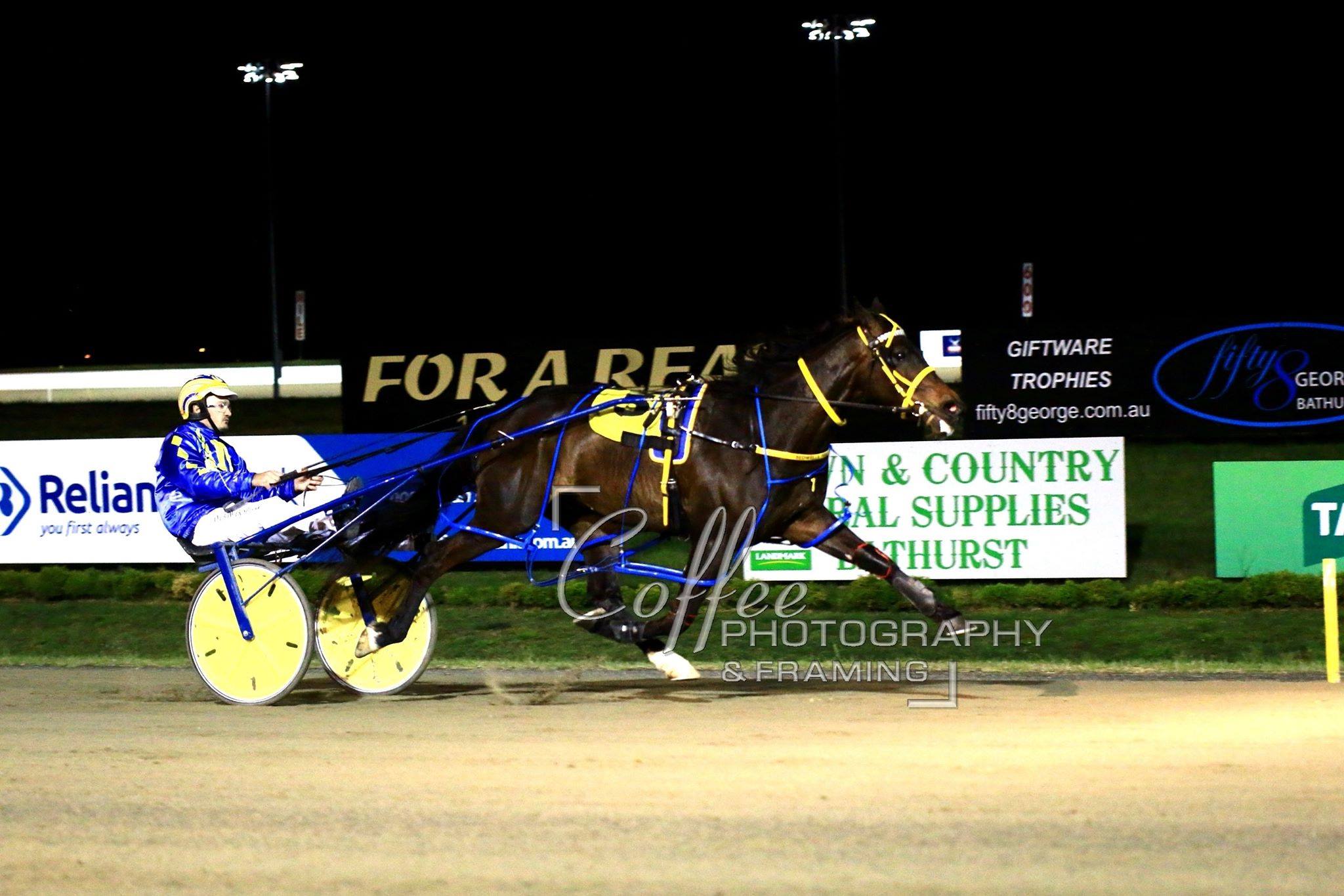 Our Uncle Sam made a winning return... - Harness Racing NSW | Facebook