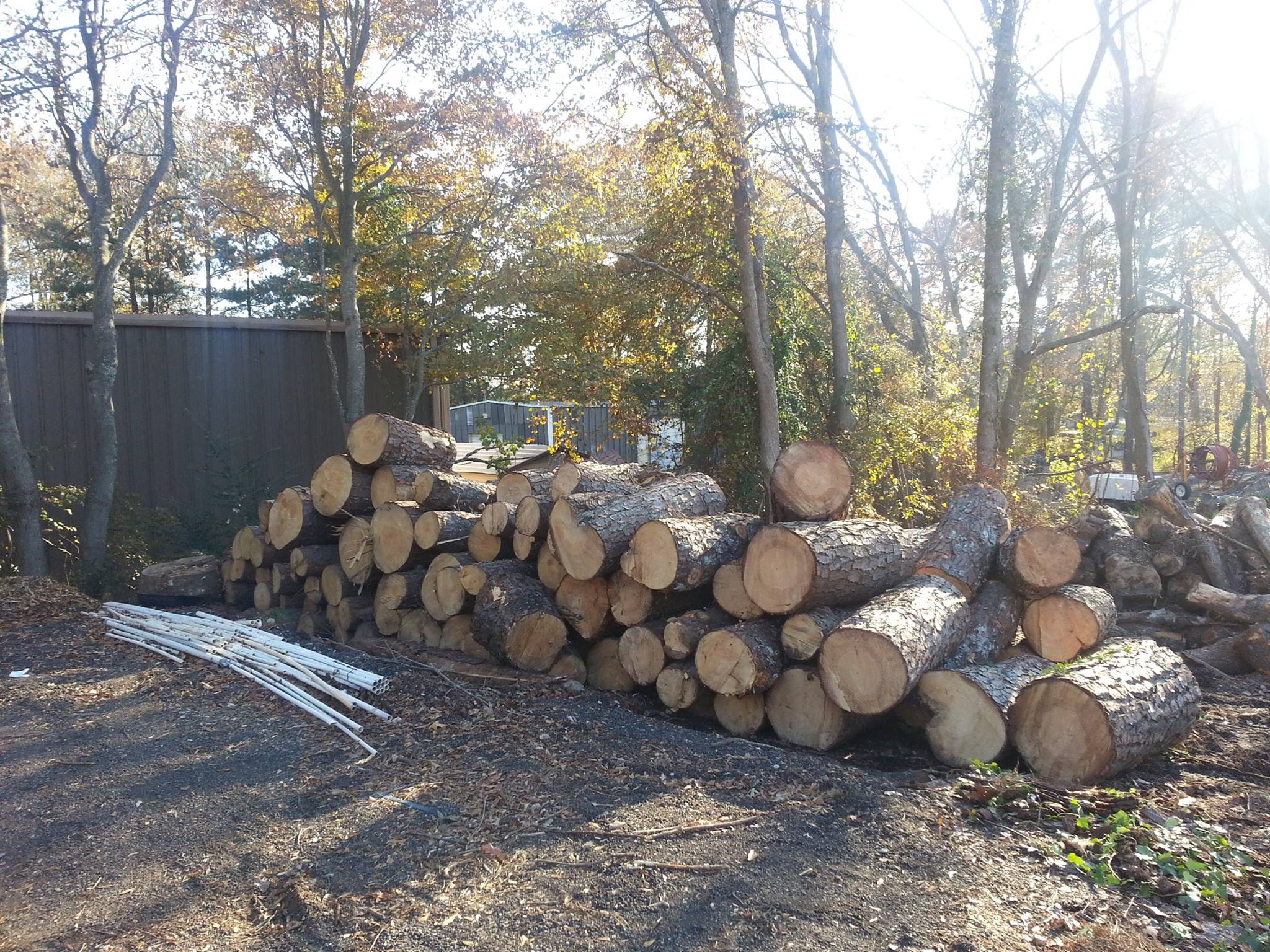 Fast Tree Removal Services Atlanta - Home