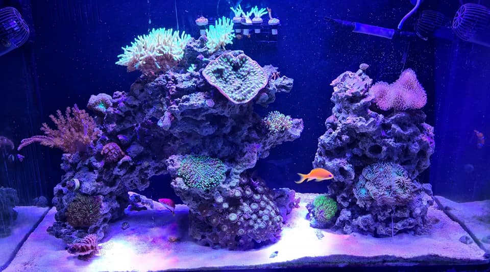 Gallery image with a fresh perspective
