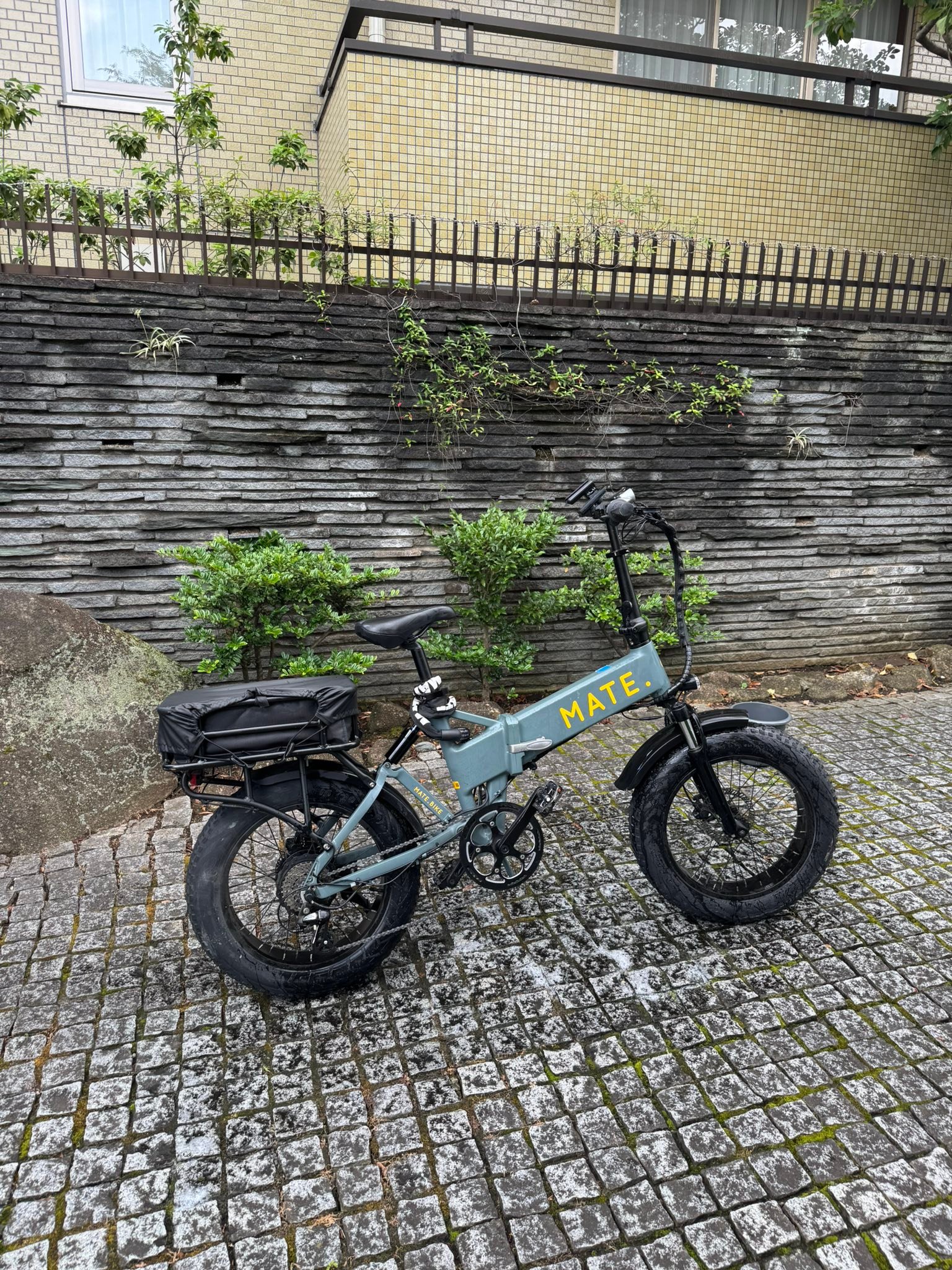 Used Mate X 250W bike for sale in Minamiazabu