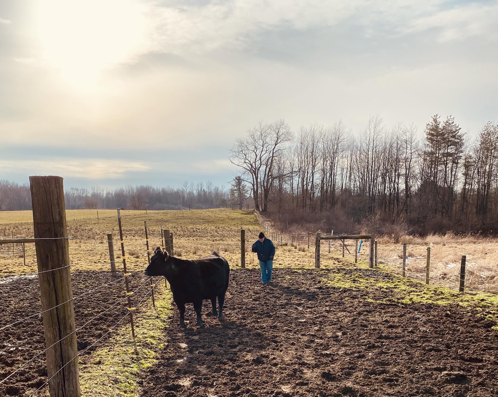 The Good and The Bad On A Farm | Gierok Farms | Facebook