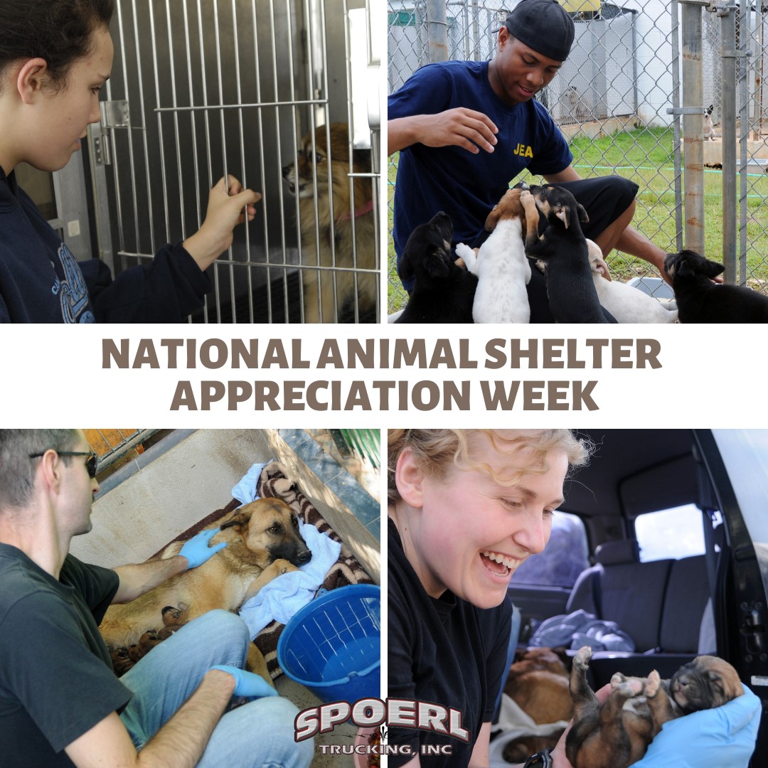 National Animal Shelter... - Spoerl Trucking Inc. | Facebook