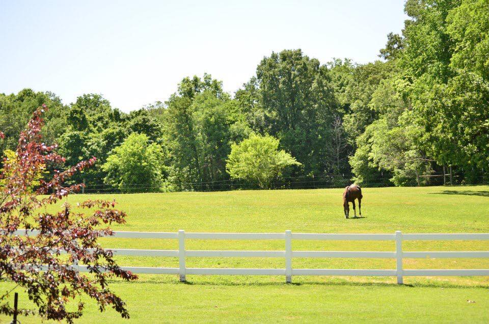 Williamson County Tennessee Land, Lot and Farms for sale