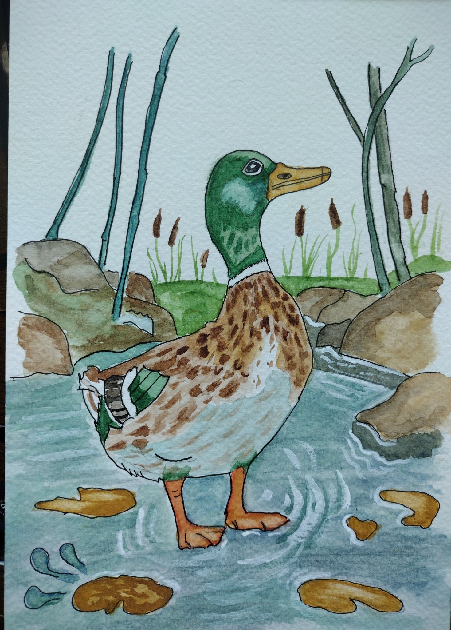 Watercolor duckling splashing tutorial
