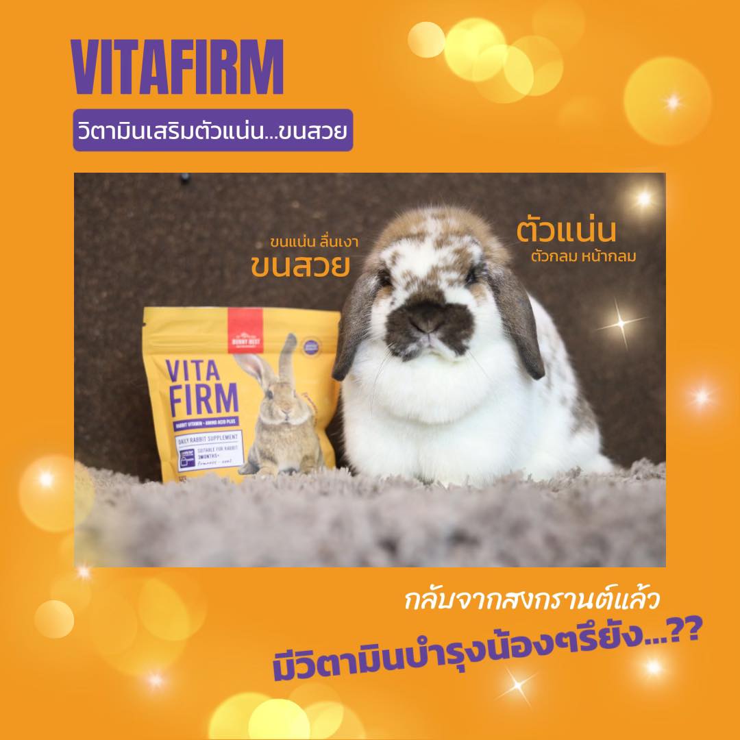💦... - BunnyBest.Official | Facebook