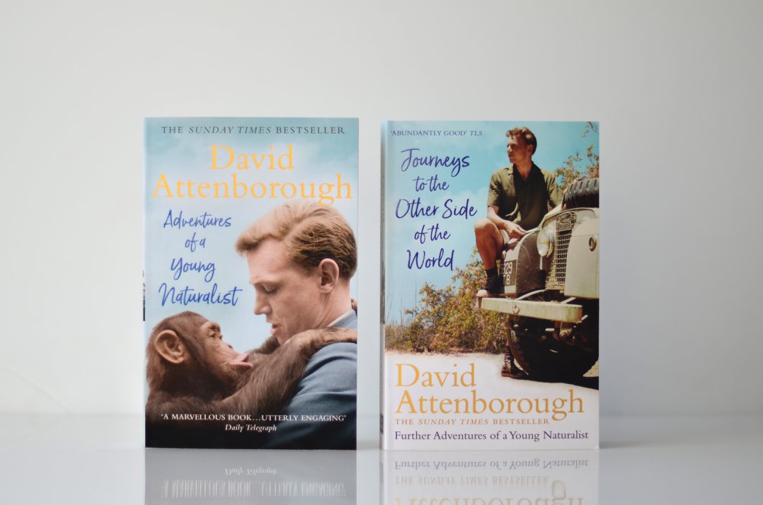 Seven continents, all unique. Your first look at David