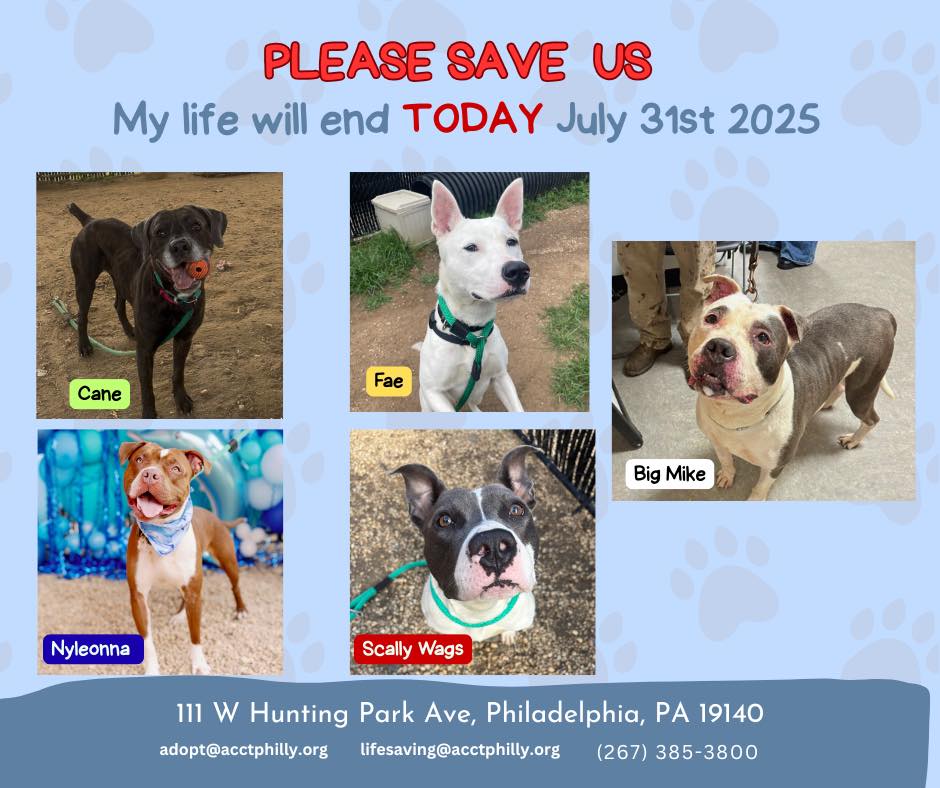 ACCTphilly shelter, Philadelphia