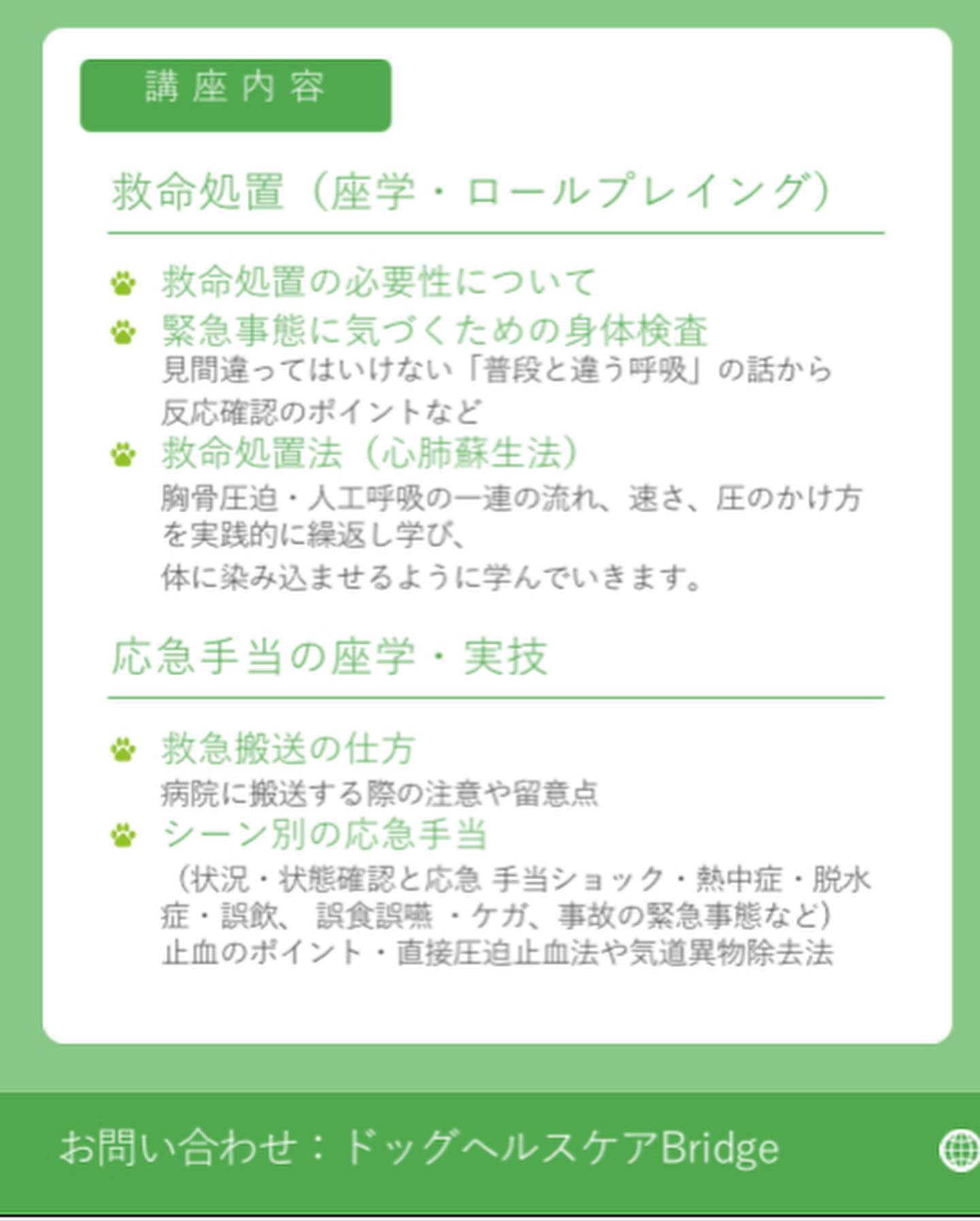 犬の訪問整体 健犬 ﾄﾞｯｸﾞﾍﾙｽｹｱ Bridge Home Facebook