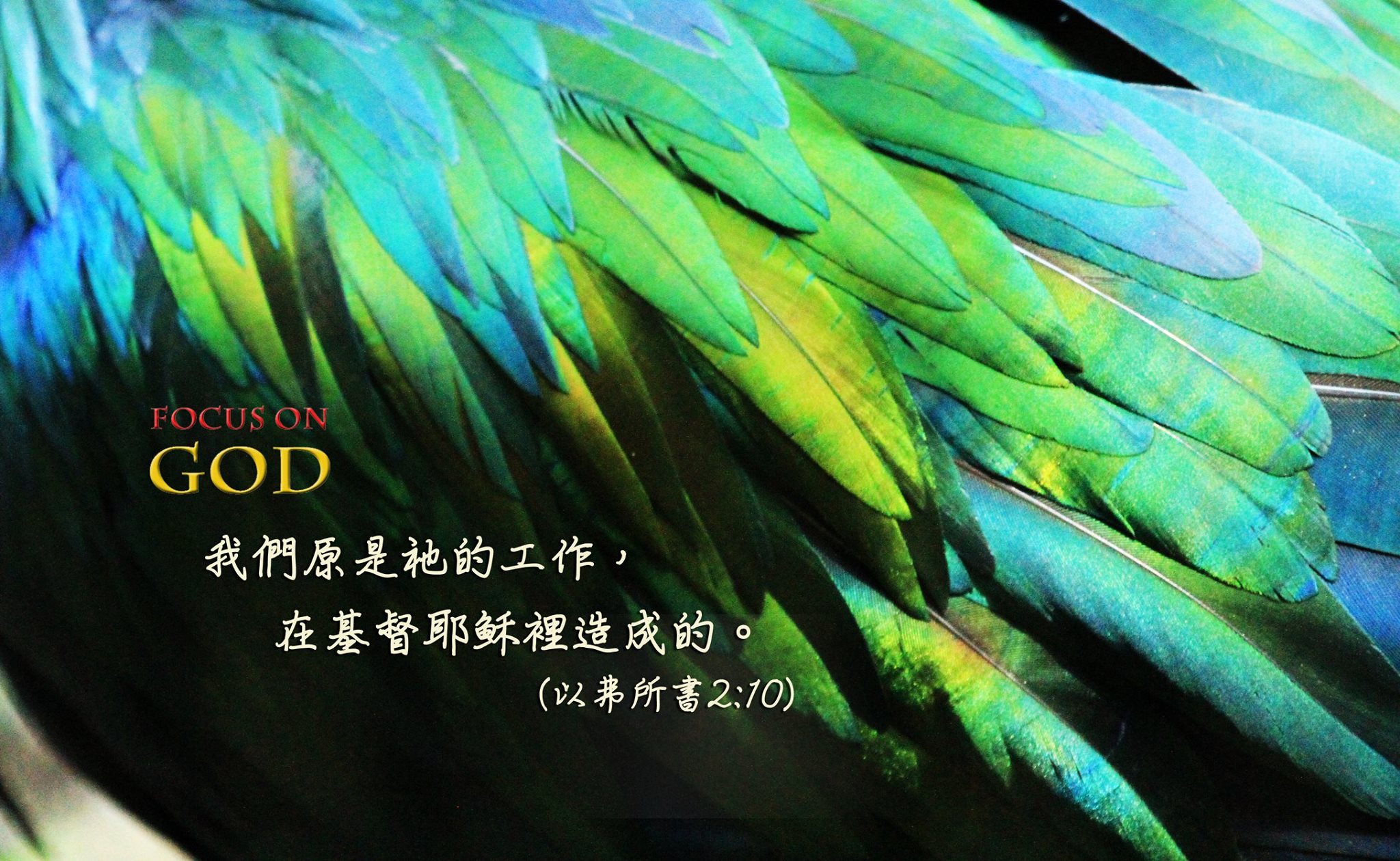 WWW 敬拜者 - 如果我看見一棟美麗的建築物，我雖會讚美它的美麗，但我歸功於建築師和設計者。因為我知道美麗不是出... | Facebook