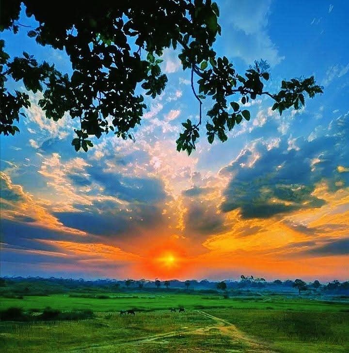 Ripon Raj