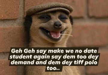 EEH...EHHHH POR TO O....GHETE 😂😂😂😂😂😂😂😂😂