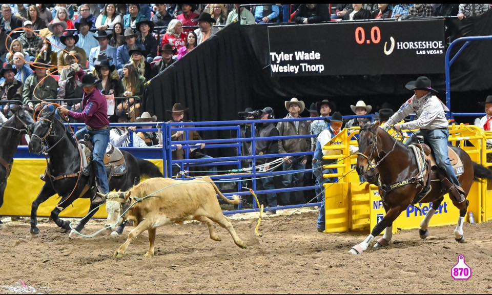 Saskatchewan Roping Jackpot Resource | Facebook