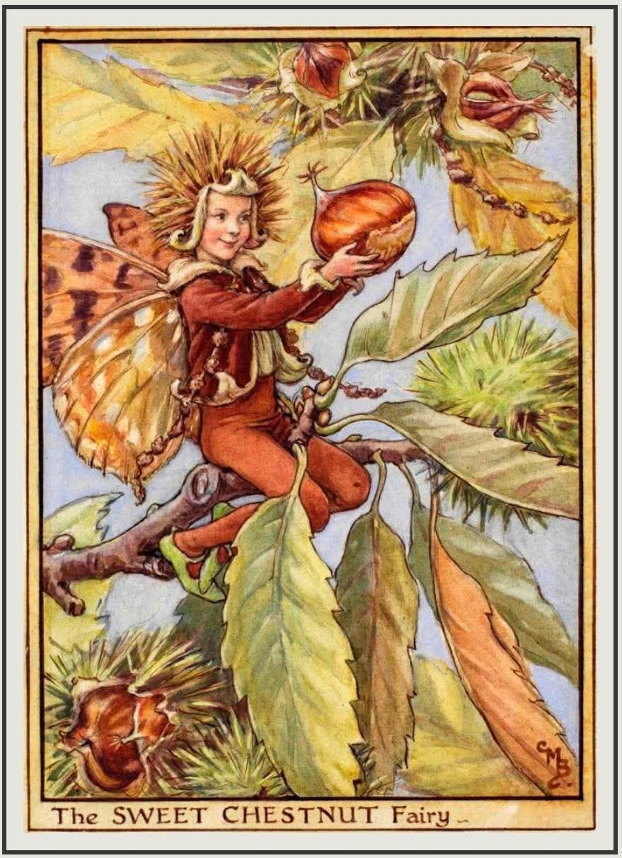 tis the season Horse Chestnut Fairy Artist - Cicely Mary Barker