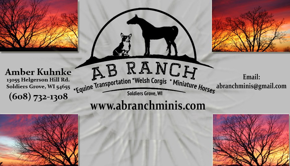A B Ranch Equine Transportation