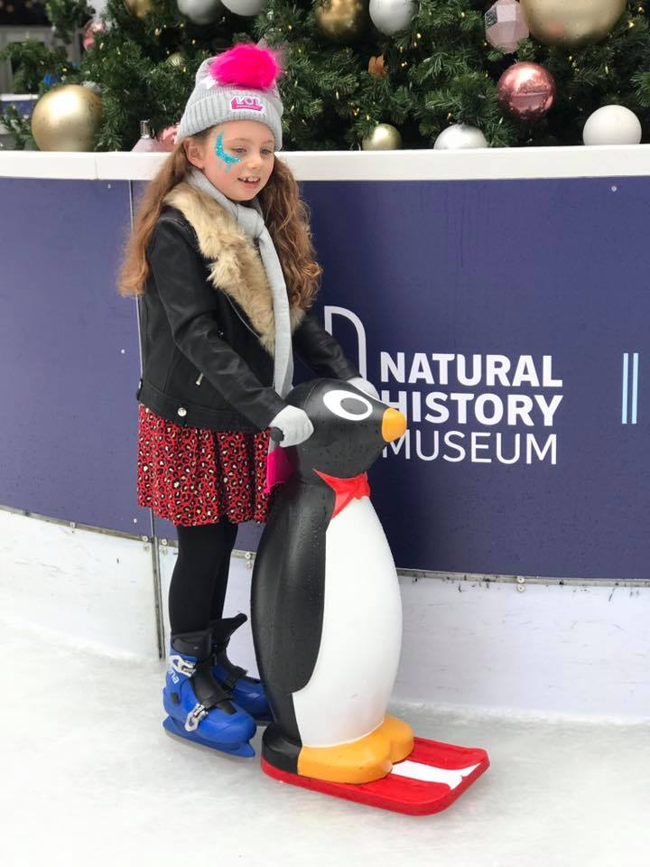 Brandon Wagons - The ice rink is now open Natural History... | Facebook
