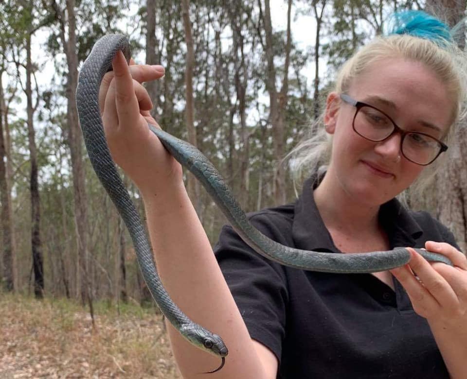 Northern Rivers Snake Catcher