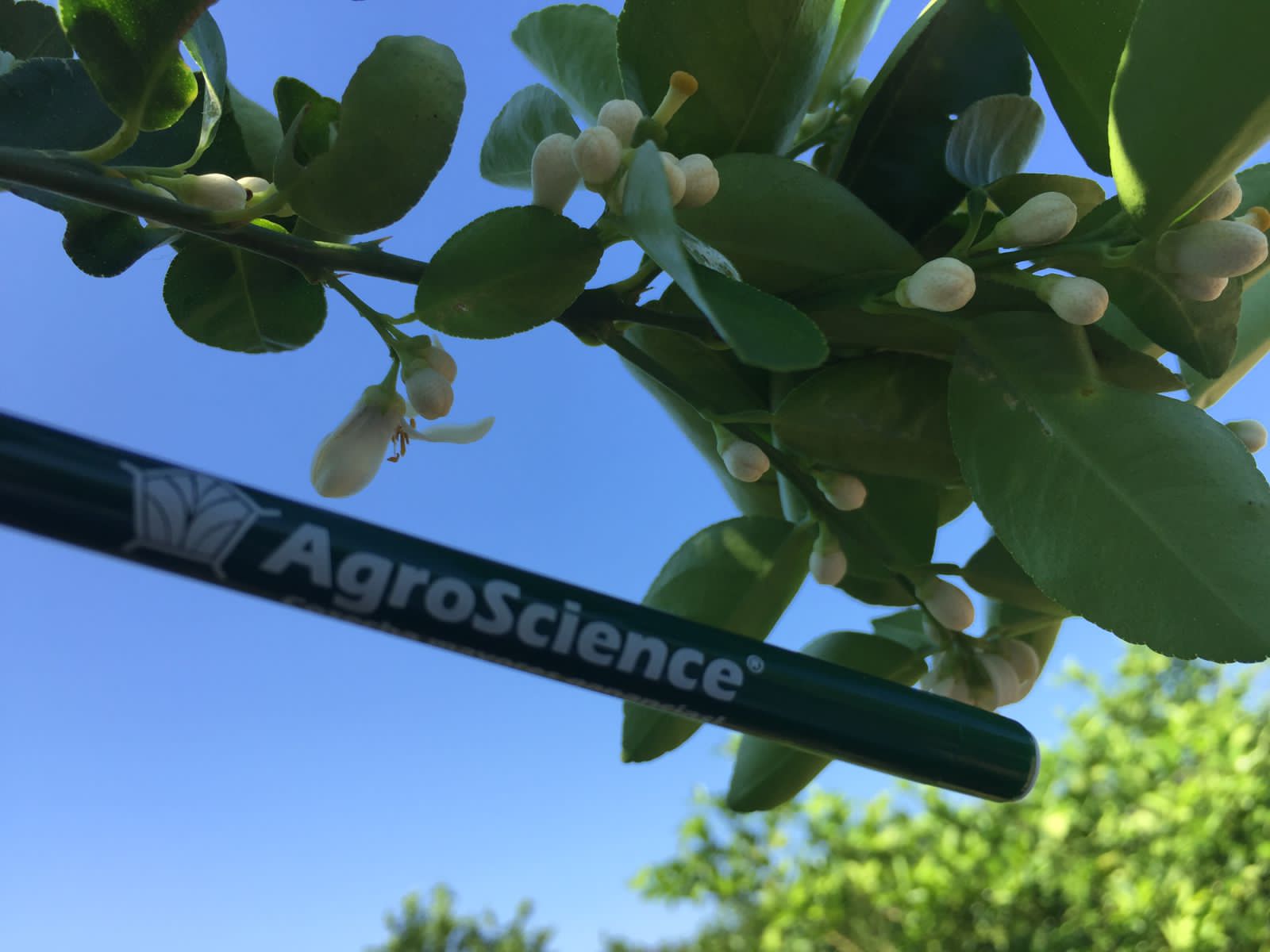 AgroScience - En AgroScience nuestro objetivo es Hacer la...