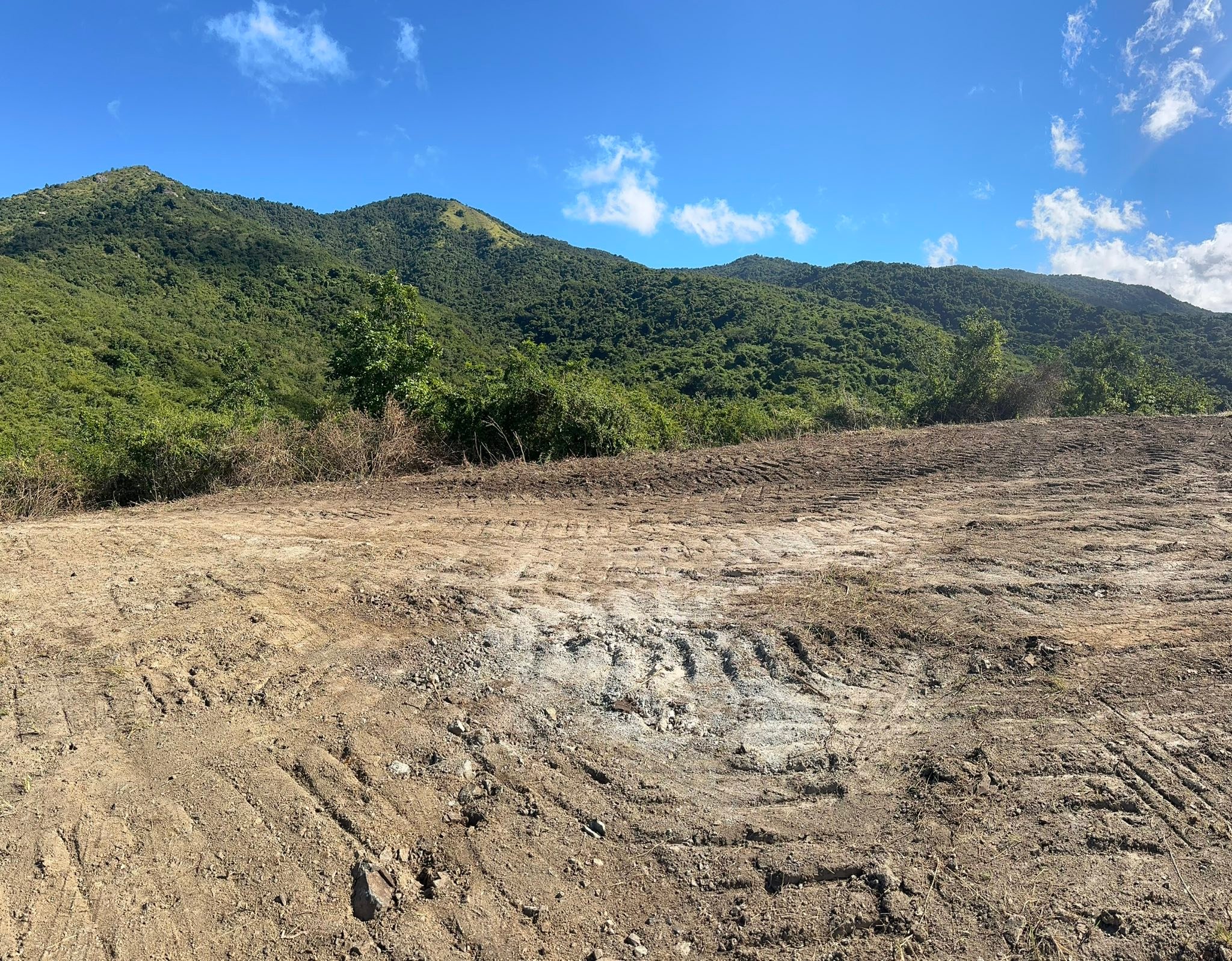 Huerto casero, sembremos todos en la Isla del Encanto | Se vende finca ...