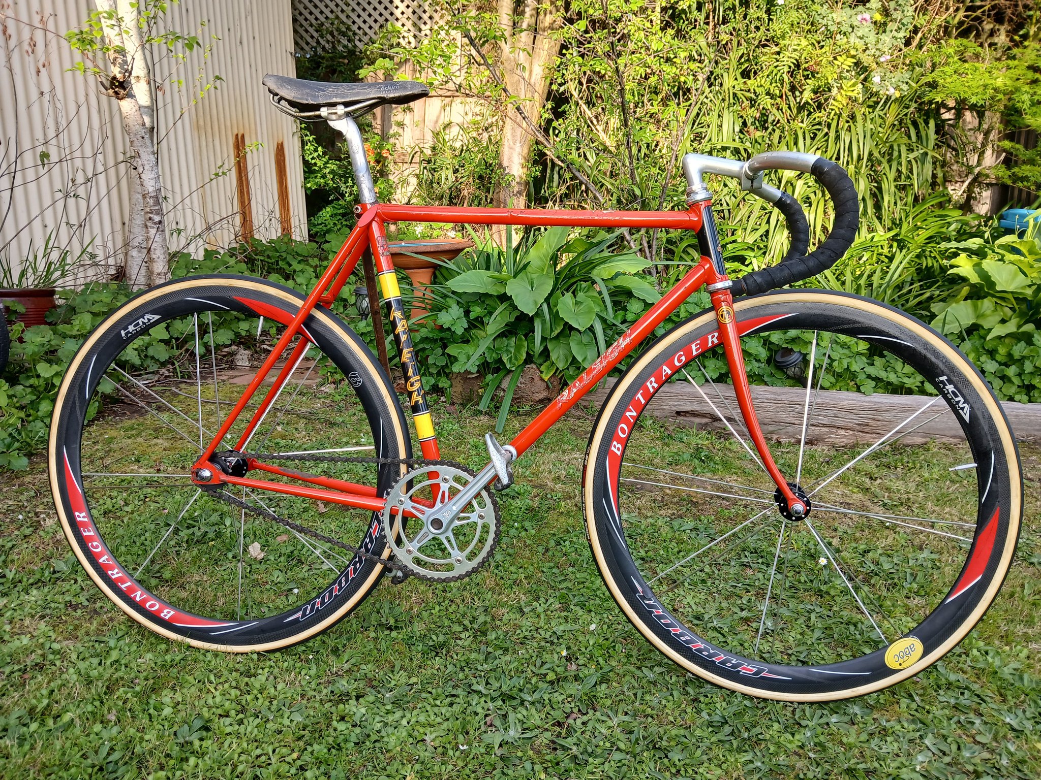 Raleigh  Panasonic  Tubo Superiore Decalcomania