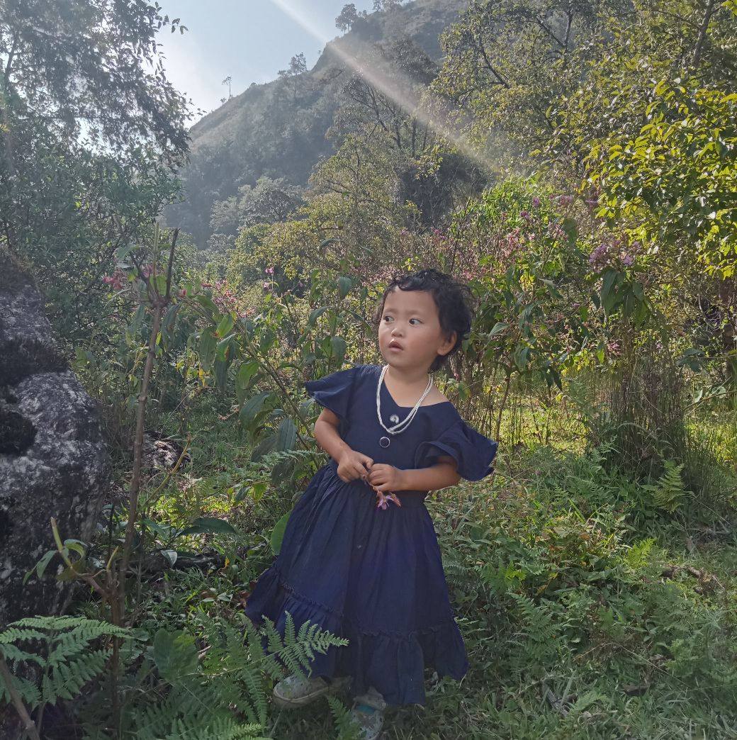 Arunachal Pradesh State Commission for protection of Child Rights ...