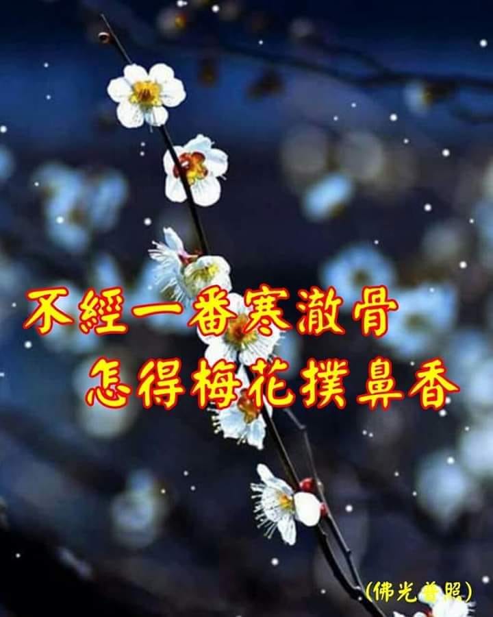 宇宙外星人龍王明 - ~晚安吉祥!謝謝分享!南無阿彌陀佛!🐲🐲🐲🐲🐲🐲🐉🐉🐉🐉🐉🐉💗💗💗💗💗💗🙏🙏🙏🙏🙏🙏