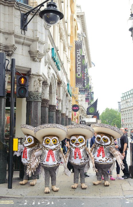 Rango - Four Mariachi Owls from the animated film Rango take to the ...