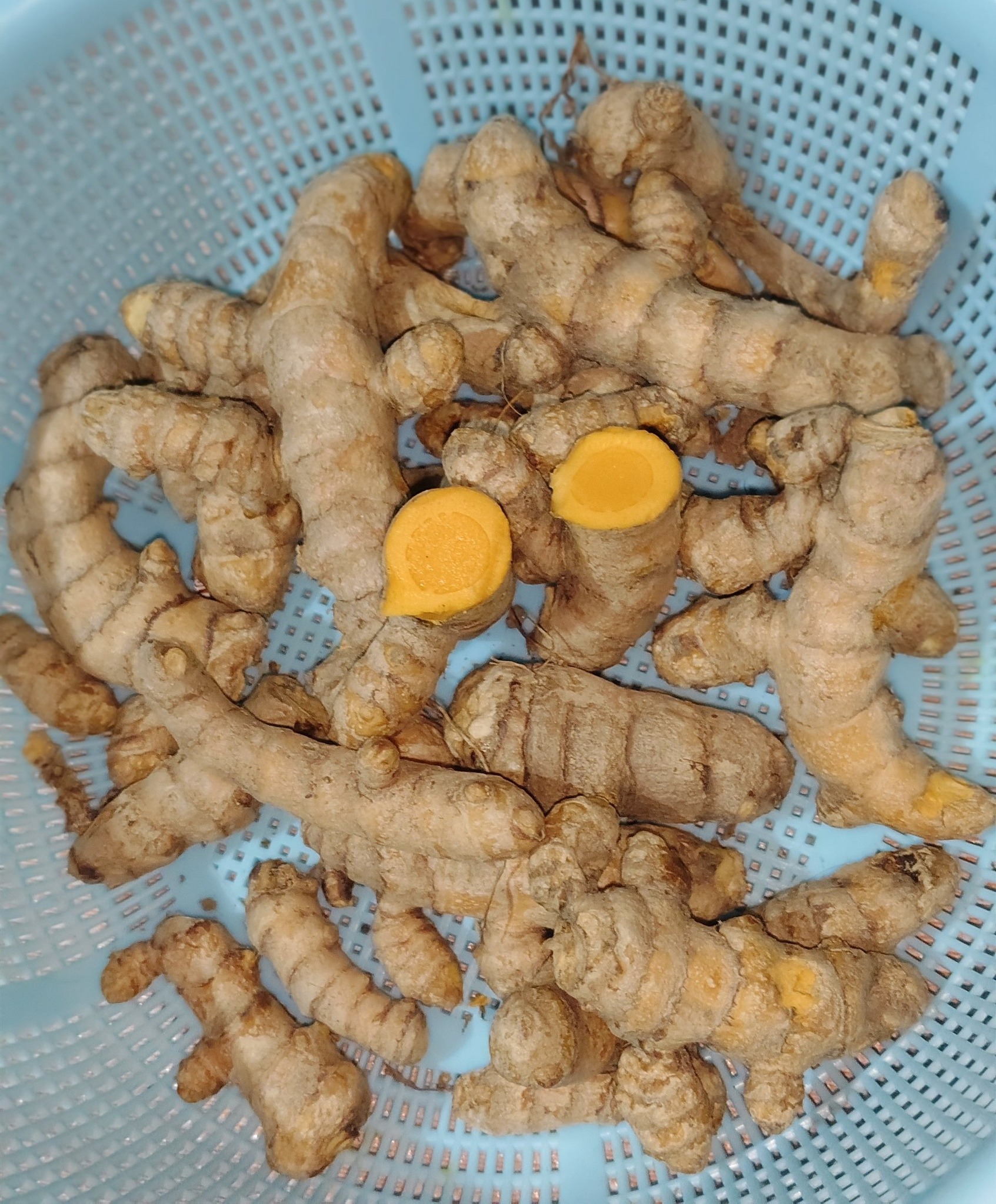 Grace - Turmeric known as 