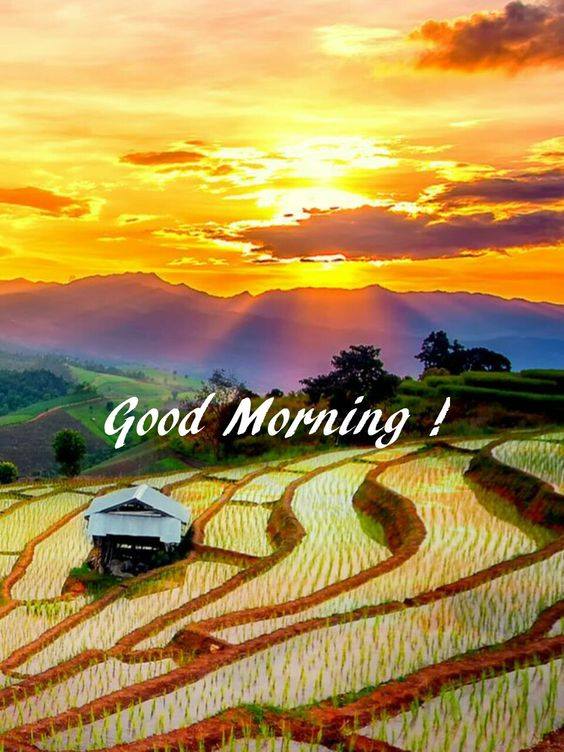 Off Grid Forum - ♥ Good Morning