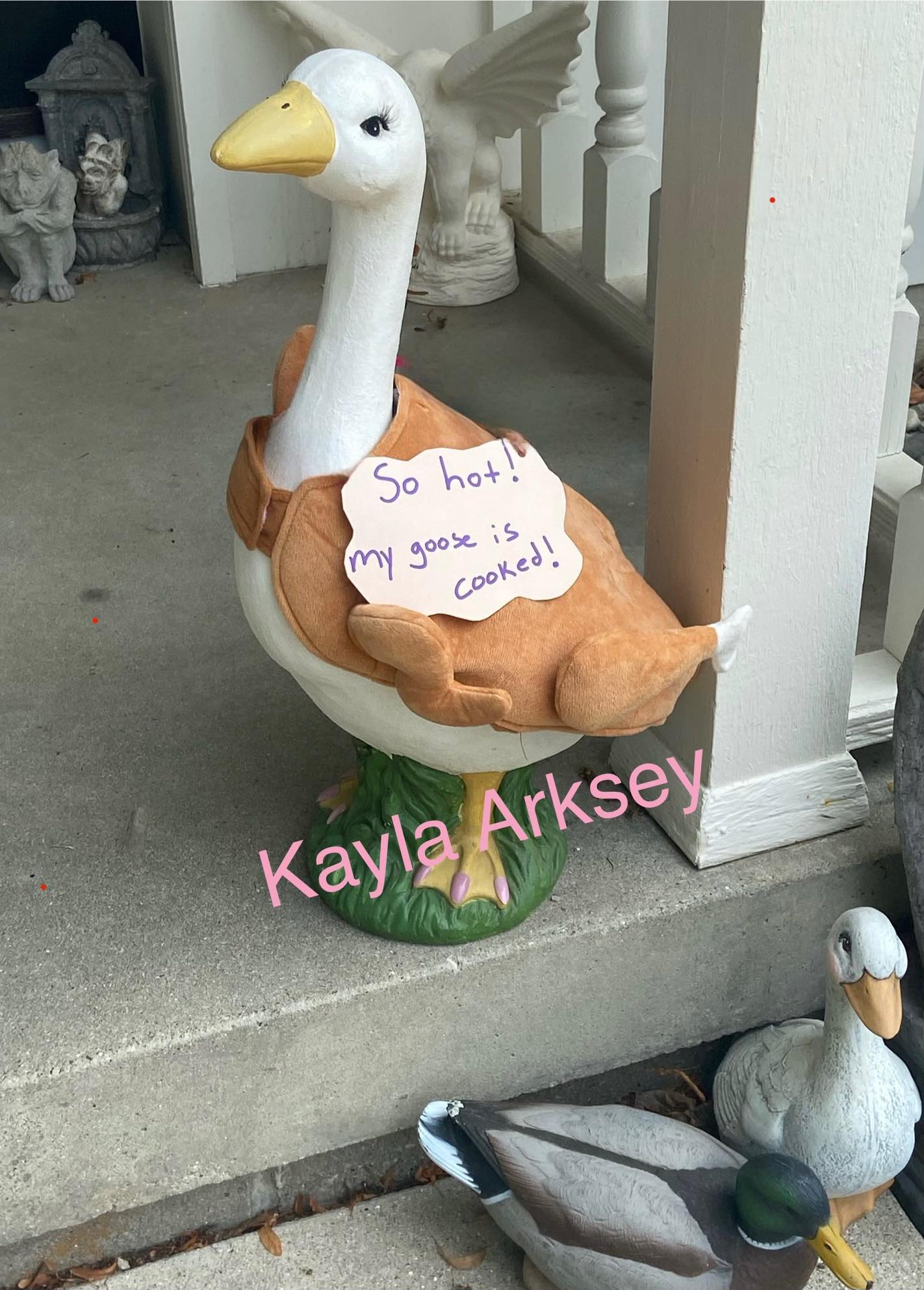 The Porch Goose Club of America | 🍗☀️🤣 Excuse my handwriting 🥴 but had ...