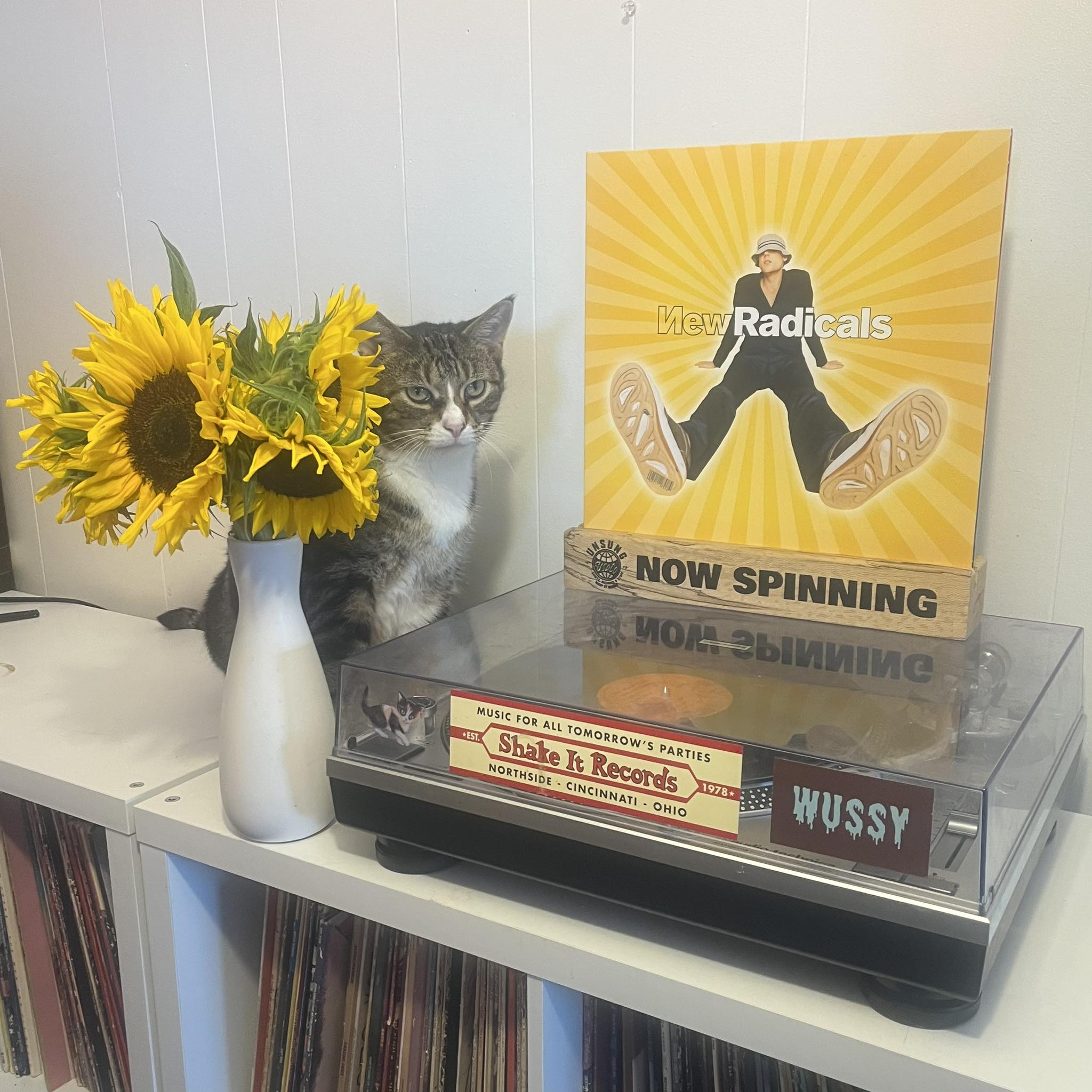 New Radicals release first album in 25 years