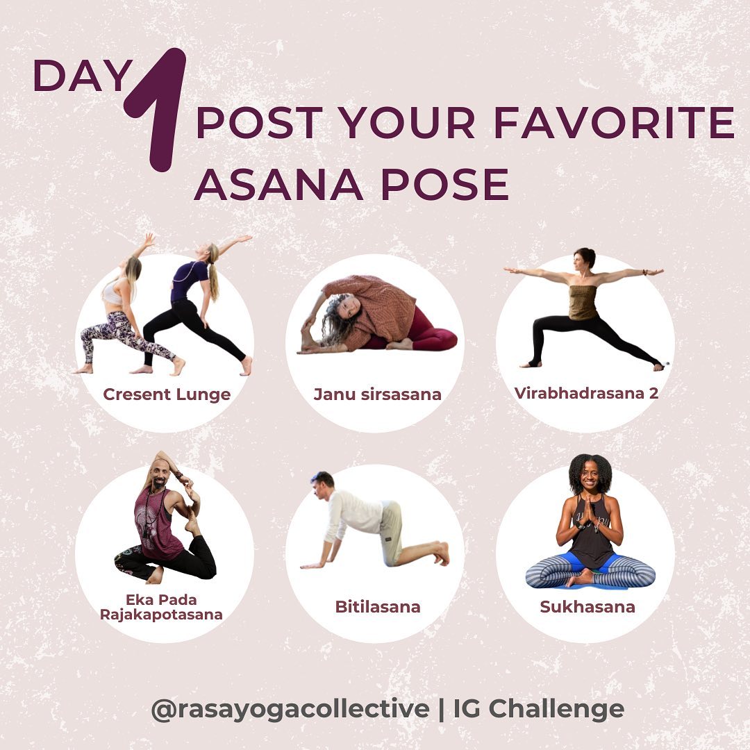 Rasa Yoga - 🤸‍♂️ASANA 🧘 DAY 1 of the #rasayogacollective...