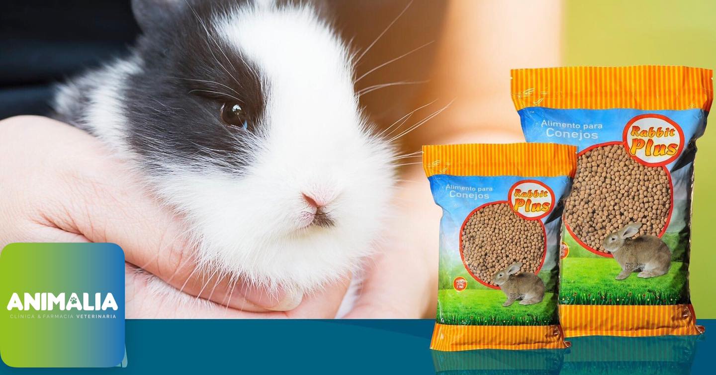 Animalia - Rabbit Plus es el alimento idóneo para tu...
