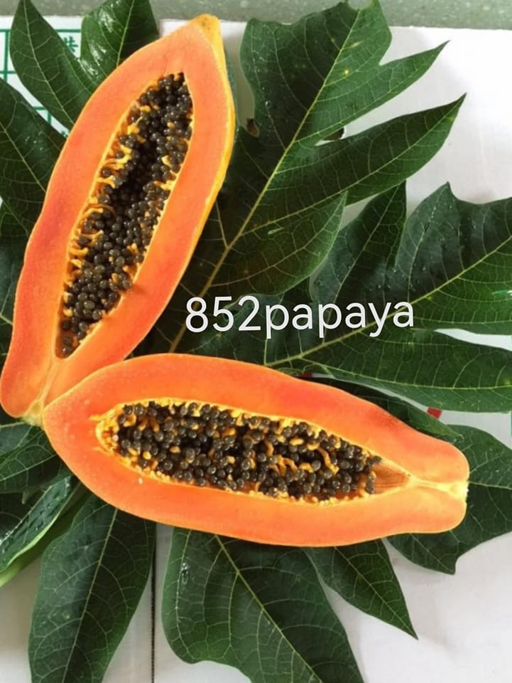 852papaya 抗疫需多d維他命c 菜貴 食多d優質852木瓜吧 不漲價 Facebook