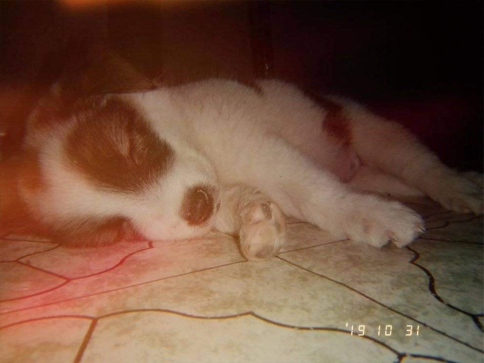 Marhea Pauliana Aguilar Baroro