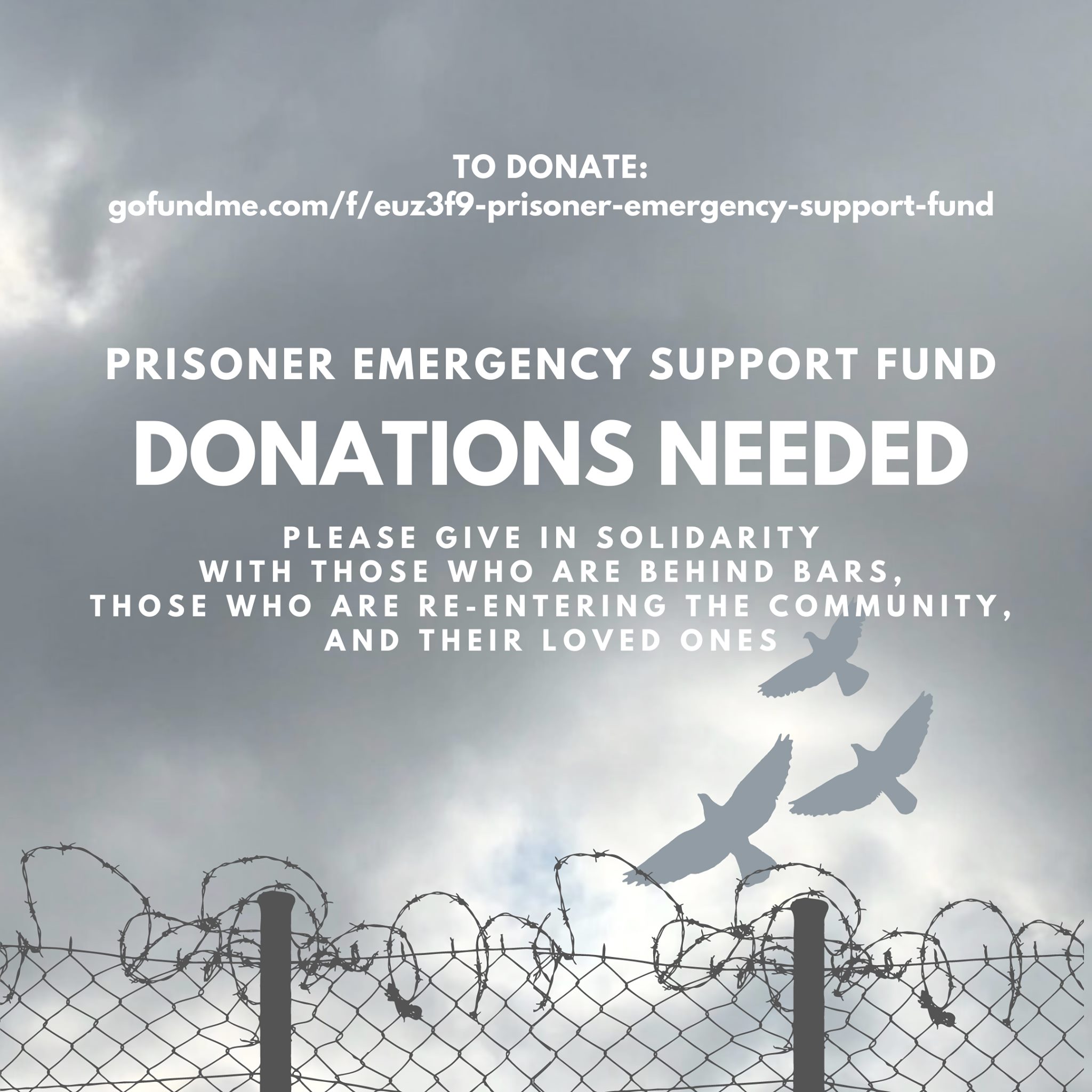 Through the... - Toronto Prisoners' Rights Project | Facebook